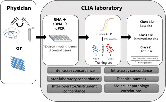 gene expression profiling in uveal melanoma technical reliability gene expression profiling