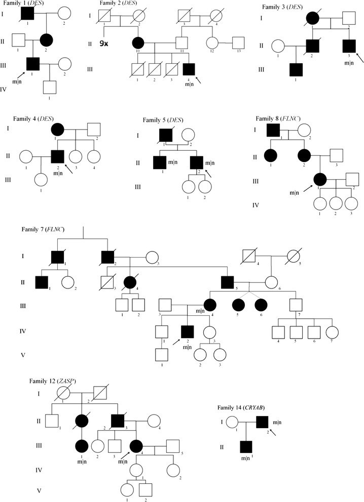 Unusual Multisystemic Involvement And A Novel BAG3 Mutation
