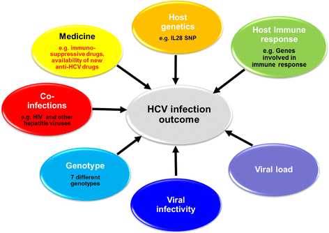 The role of memory cells in cellular immunity