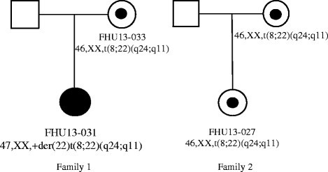 human cytogenetics constitutional analysis pdf