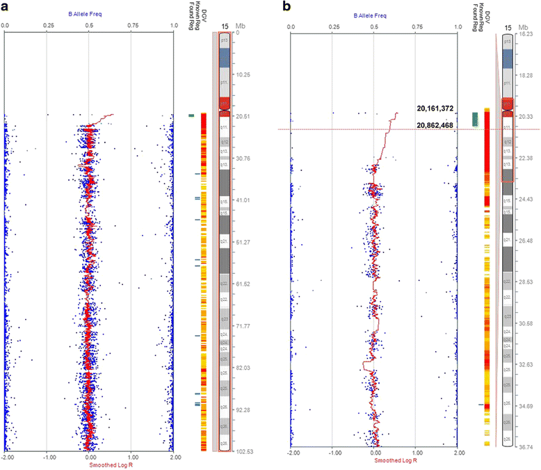 A marker chromosome in posttransplant bone marrow Molecular
