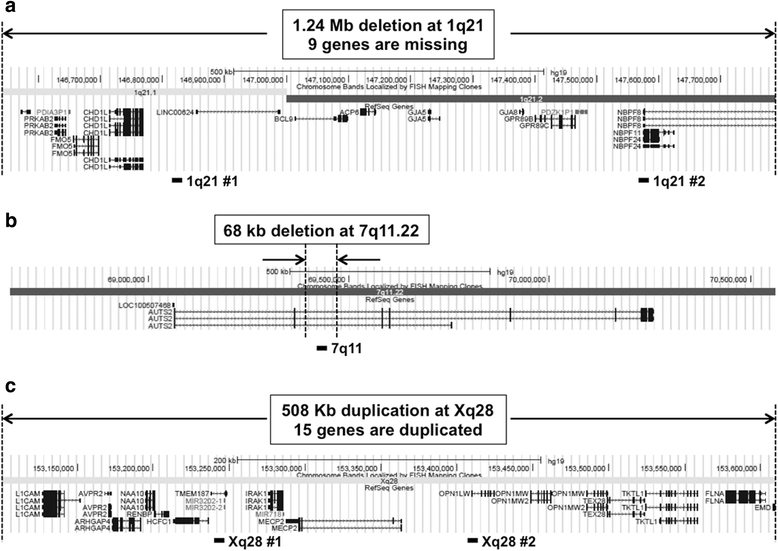 The presence of two rare genomic syndromes, 1q21 deletion and Xq28