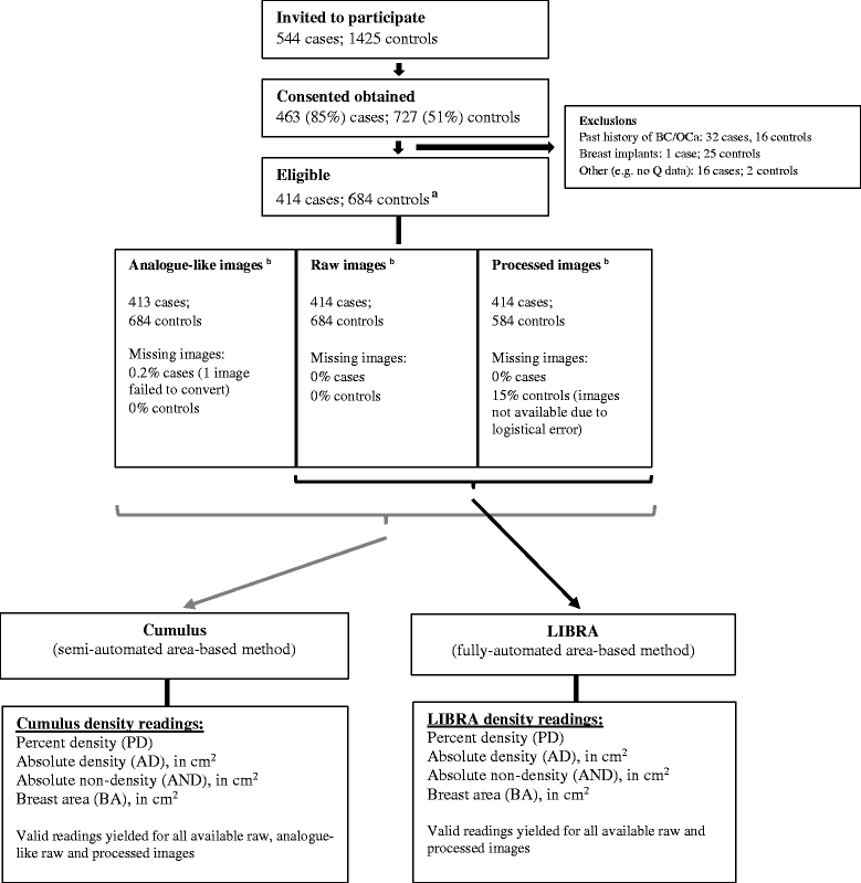 Impact of type of fullfield digital image on mammographic density