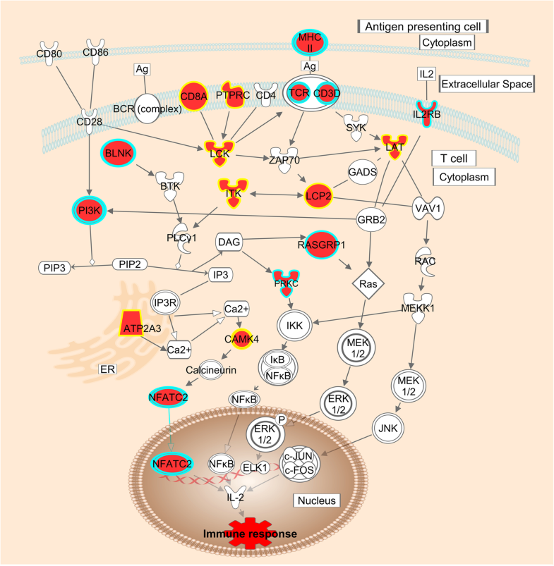 Genomic signature of parity in the breast of premenopausal women ...