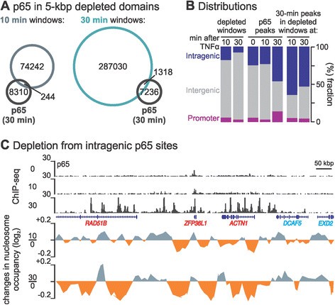 TNFα signalling primes chromatin for NF-κB binding and ... taylor dunn et 3000 wiring diagram 