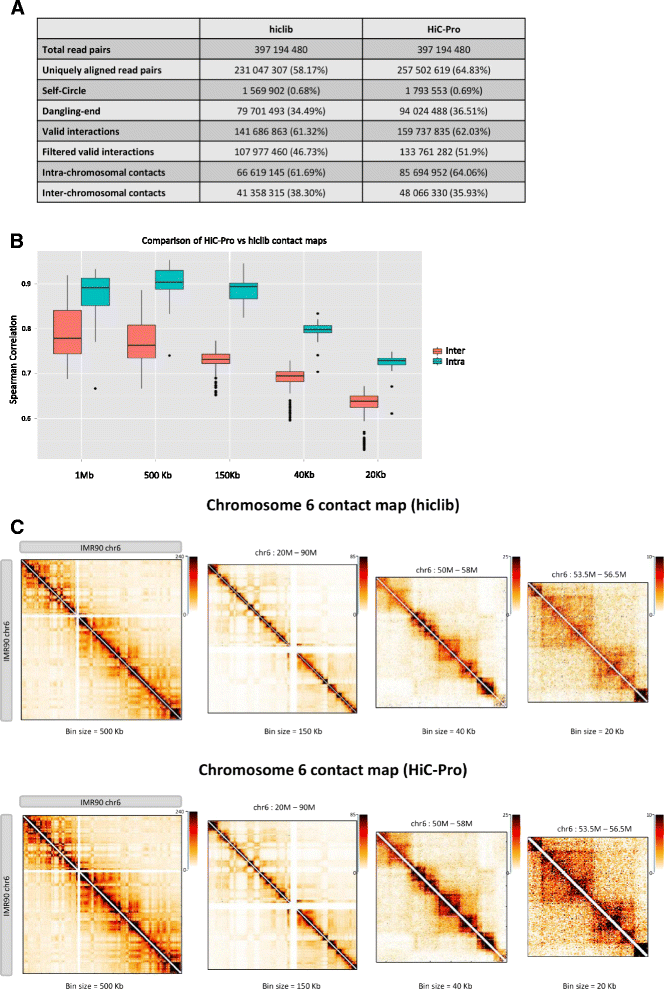 HiCPro an optimized and flexible pipeline for HiC data processing Genome Biology Full Text