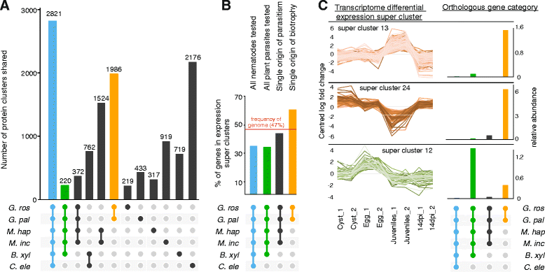 The Genome Of The Yellow Potato Cyst Nematode Globodera Rostochiensis Reveals Insights Into The Basis Of Parasitism And Virulence Springerlink