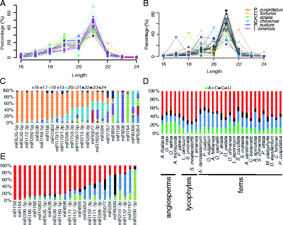 Conservation And Divergence Of Small Rna Pathways And - 