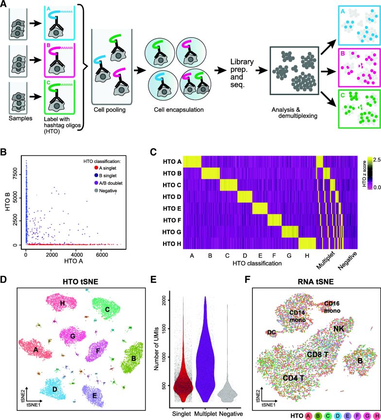 Cell Hashing with barcoded antibodies enables multiplexing and doublet detection for single cell