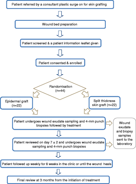 Wound Classification Chart Nhs