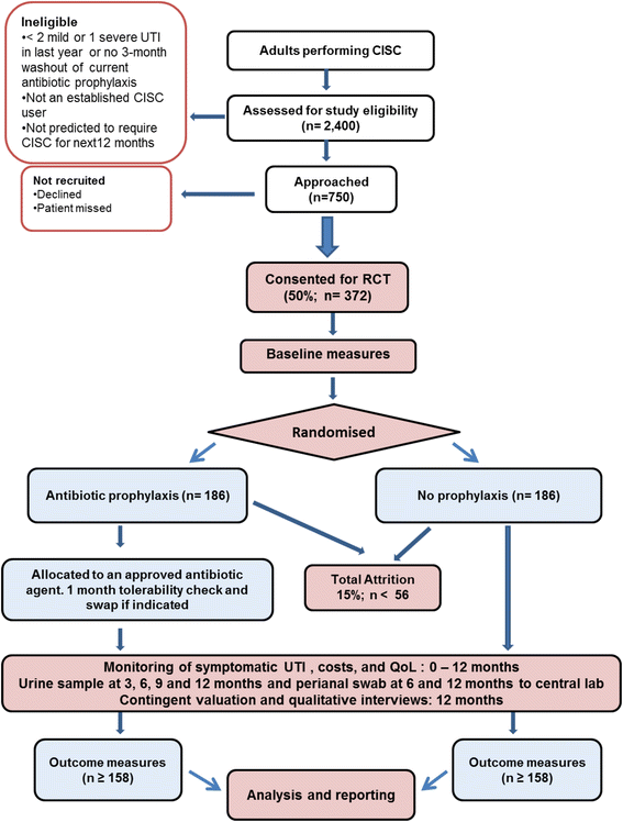 Antibiotic treatment for intermittent bladder catheterisation with once