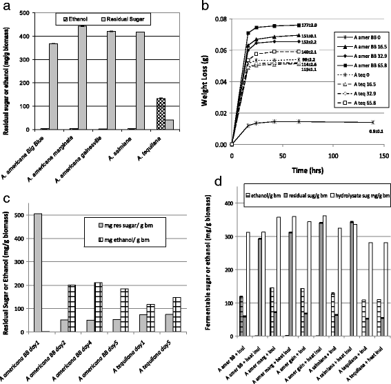 Development Of Agave As A Dedicated Biomass Source Production Of Biofuels From Whole Plants Springerlink Development Of Agave As A Dedicated Biomass Source Production Of Biofuels From Whole Plants Springerlink