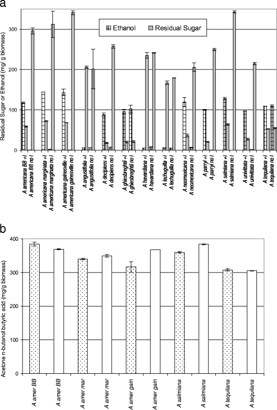Development Of Agave As A Dedicated Biomass Source Production Of Biofuels From Whole Plants Springerlink Development Of Agave As A Dedicated Biomass Source Production Of Biofuels From Whole Plants Springerlink