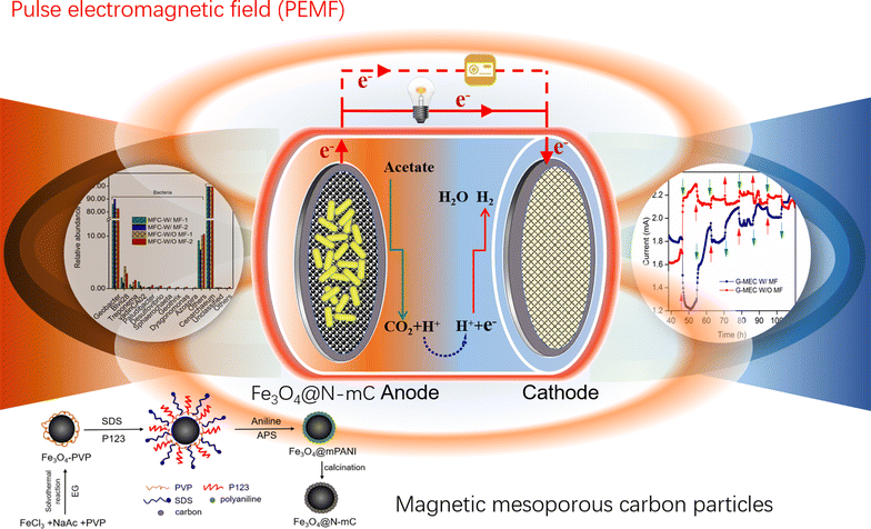 Pulse electromagnetic fields enhance extracellular electron transfer in