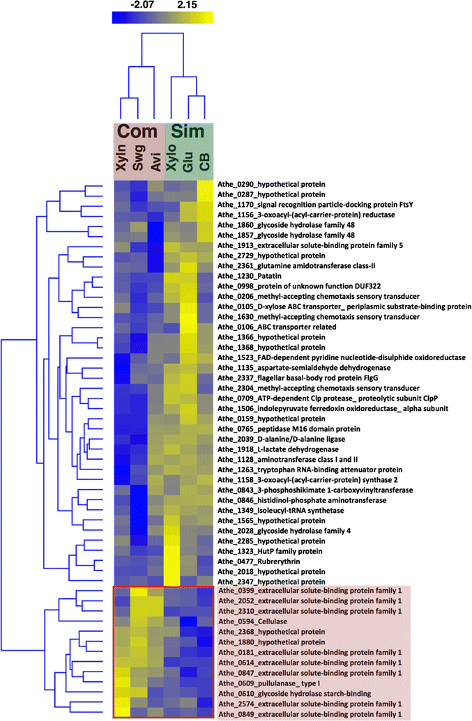 z-score log2 specificity extracellular the diversity of The and