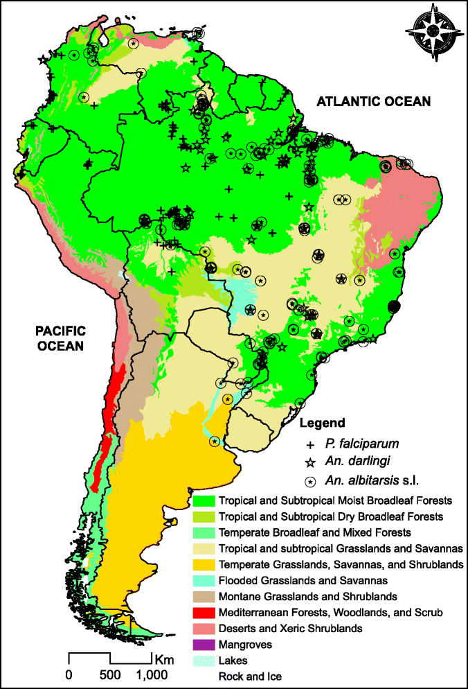 Malaria vectors in South America current and future scenarios Parasites & Vectors Full Text