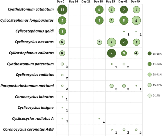 Cyathostomine Egg Reappearance Period Following Ivermectin - 