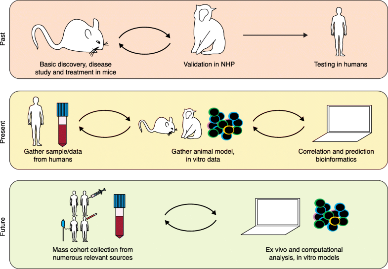 Advanced model systems and tools for basic and translational human