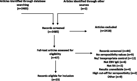 Ebv Serology Chart