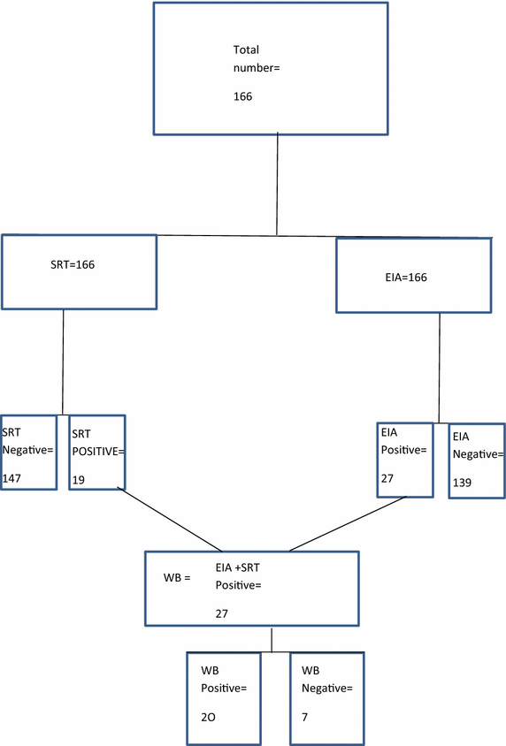 the evaluation of accuracy of serial rapid hiv test rapid hiv test accuracy chart