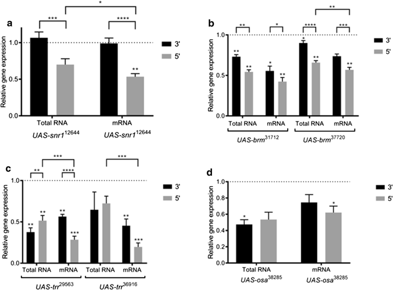 Optimal RNA isolation method and primer design to detect gene knockdown
