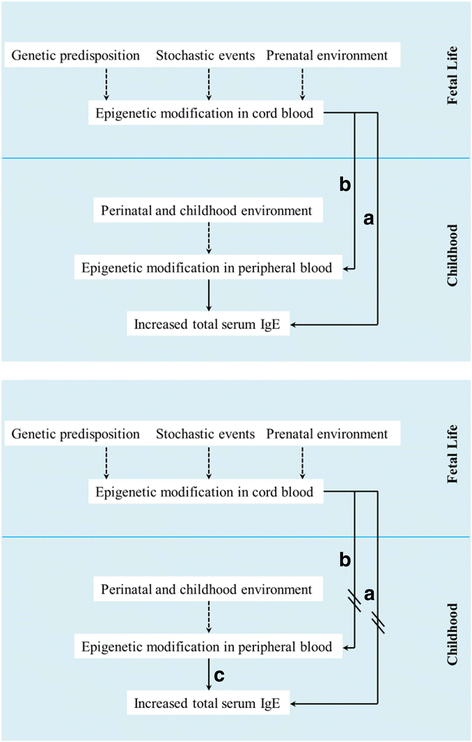 Serum Ige Levels Chart