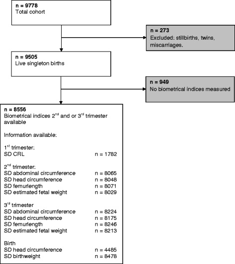 Fl Chart In Pregnancy