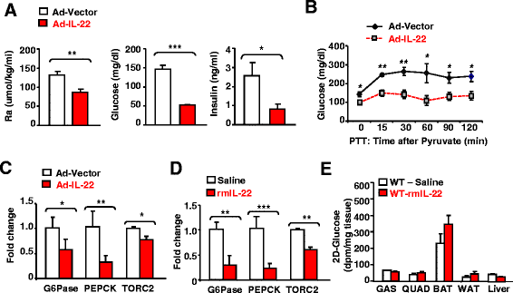 6 test blood interleukin interleukin levels high inhibit Biologically 22 active, of
