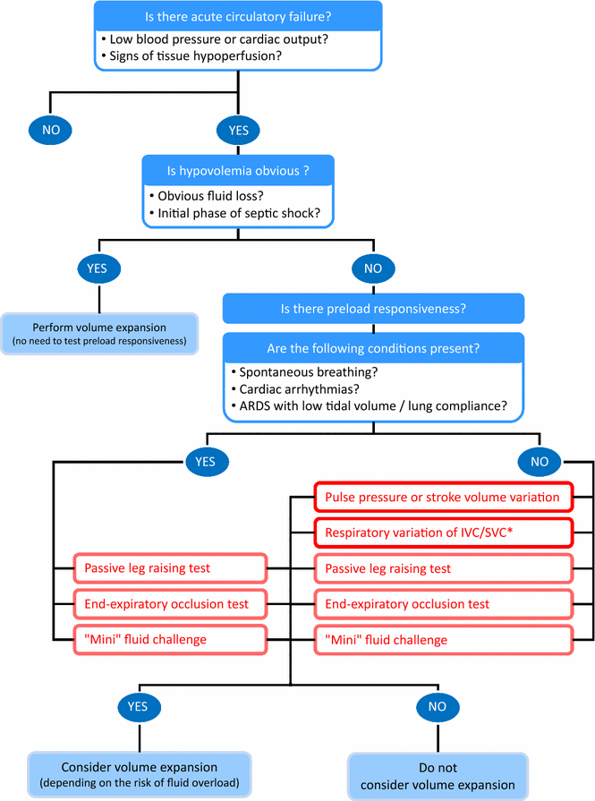 Veterinary fluid therapy