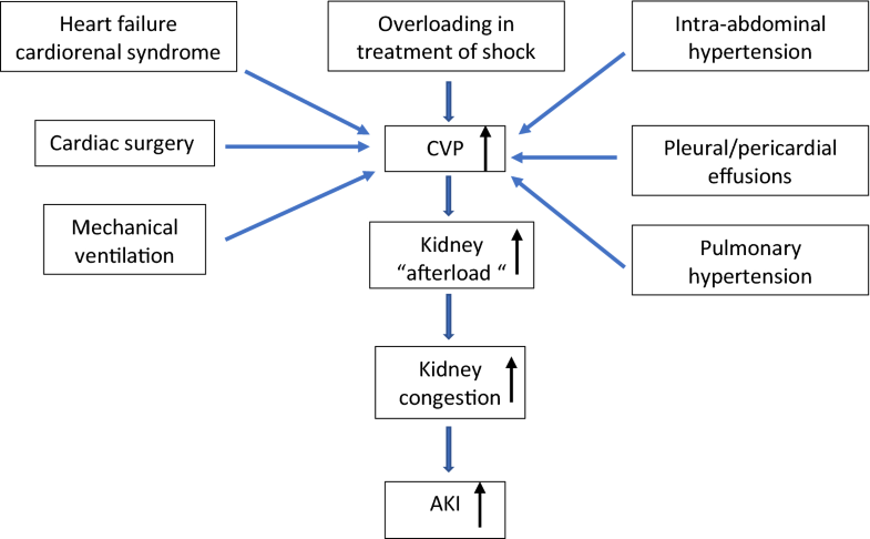 Renal failure in critically ill patients, beware of applying (central ...