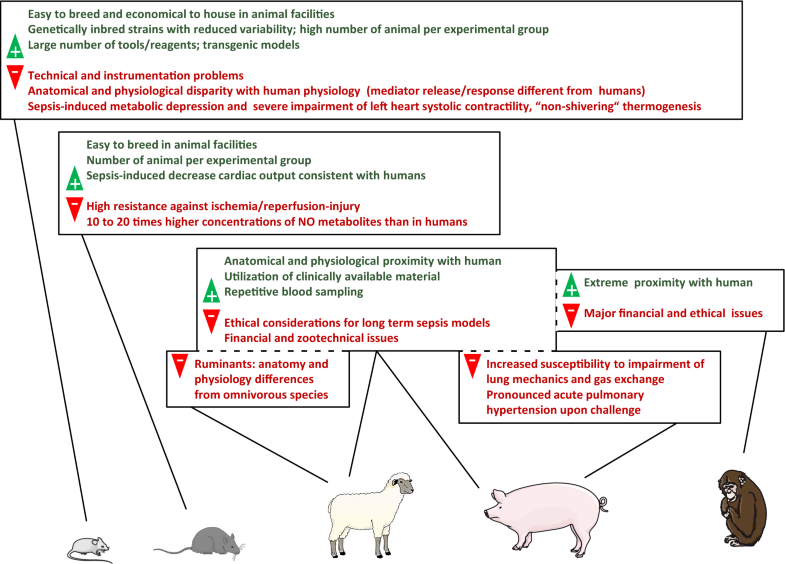 Preclinical septic shock research why we need an animal ICU Annals