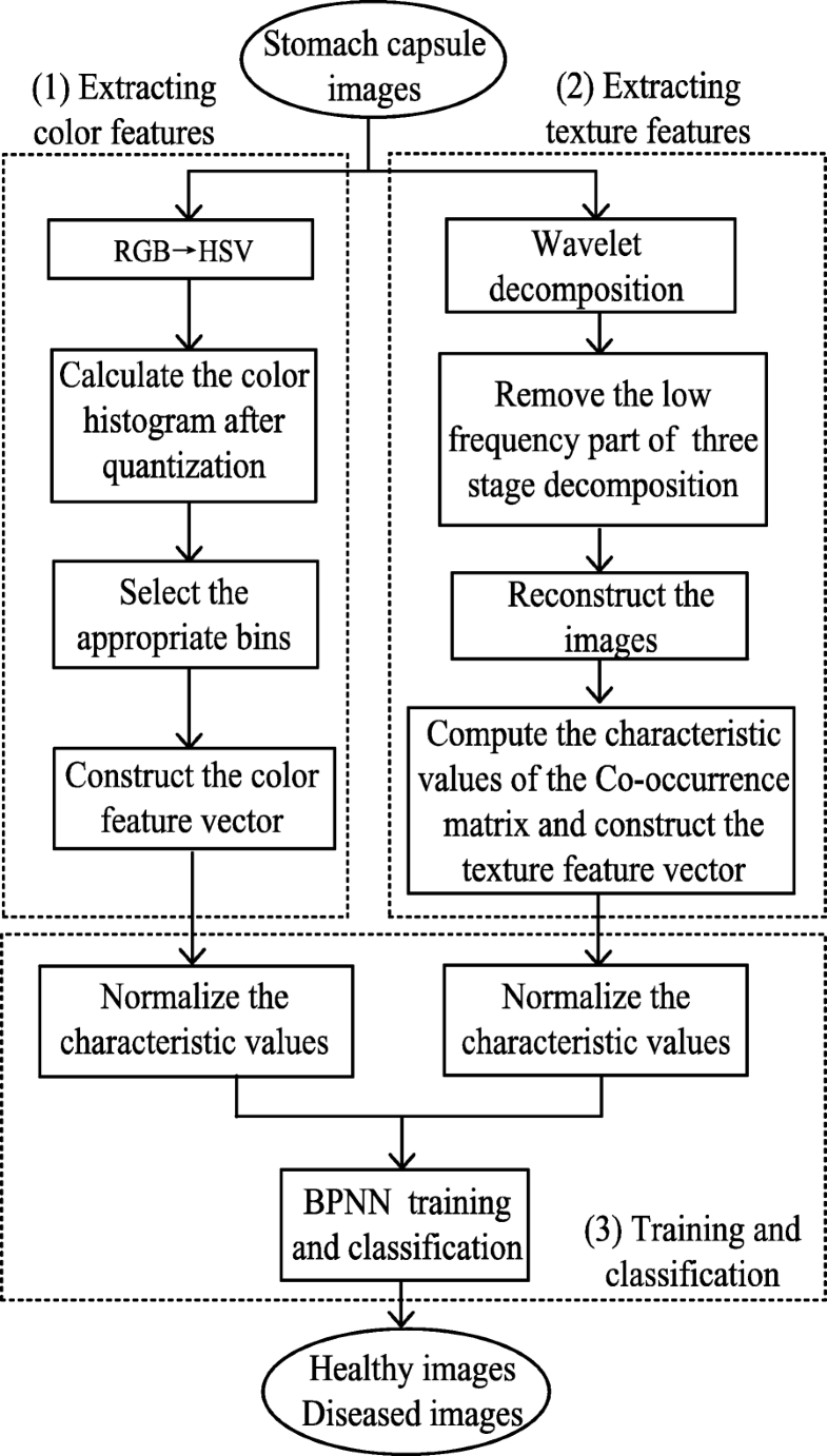 Study on the classification of capsule endoscopy images EURASIP