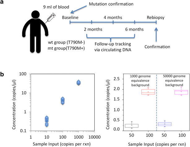 Circulating DNA addresses cancer monitoring in non small cell lung