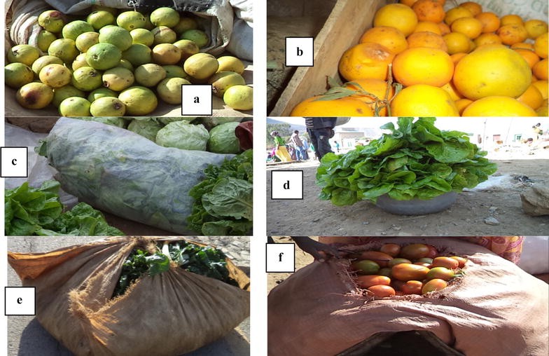 Assessment Of Production Potential And Post Harvest Losses - 
