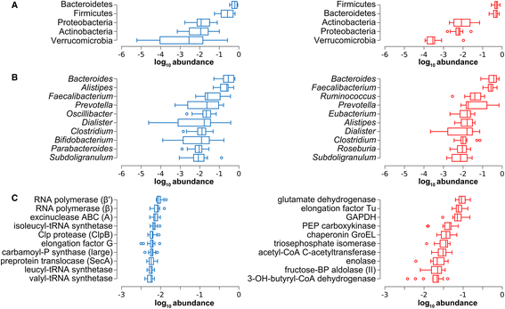 the functions of the gut microbiota essay Beneficial microbes: the pharmacy in the gut benefits for gut microbiota and new evidence of health number of important functions in. the functions of the gut microbiota essay Beneficial microbes: the pharmacy in the gut benefits for gut microbiota and new evidence of health number of important functions in.