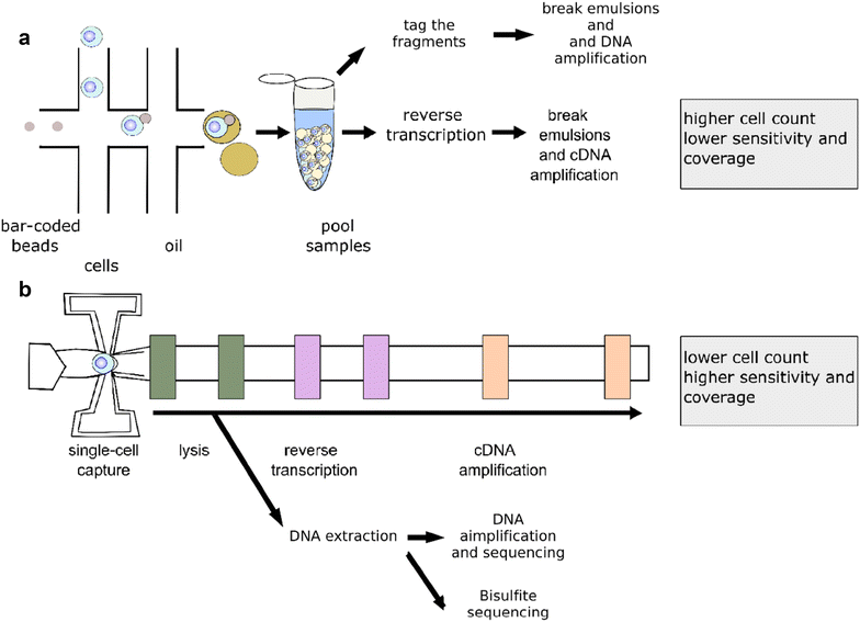 Using single-cell multiple omics approaches to resolve tumor