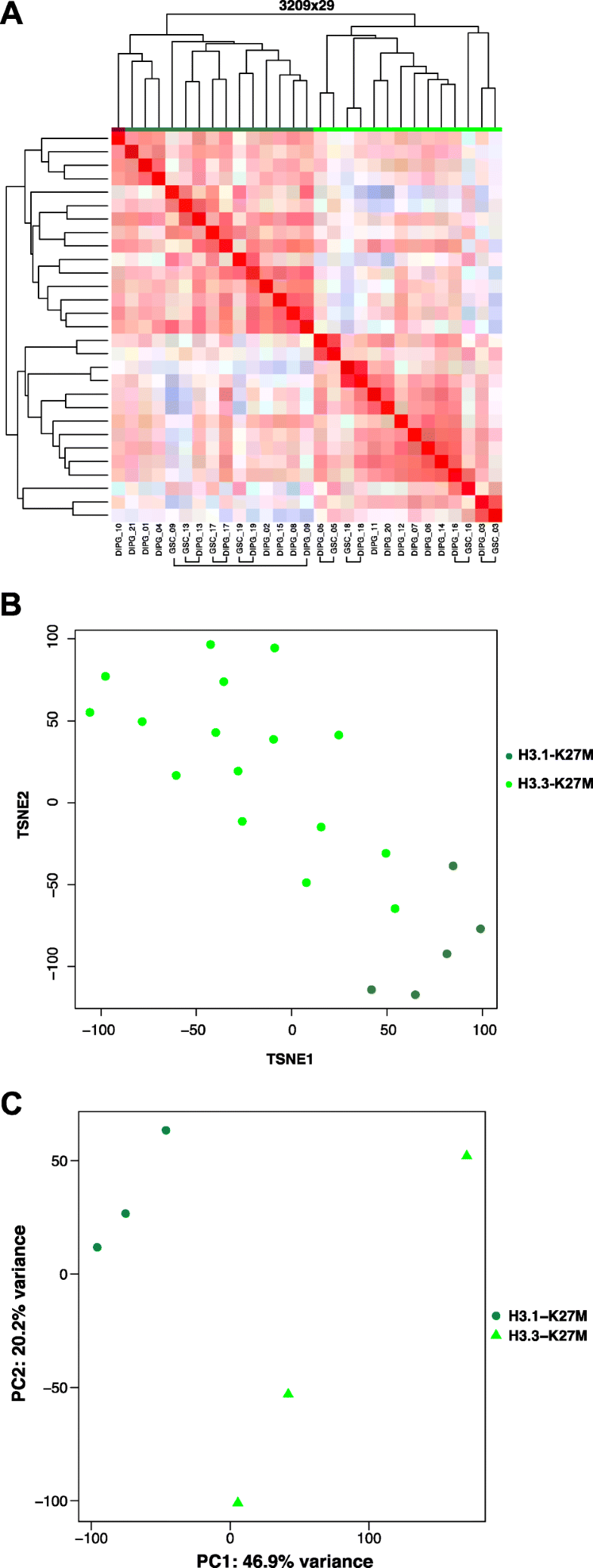 Transcriptomic and profiling of ‘diffuse midline gliomas, H3