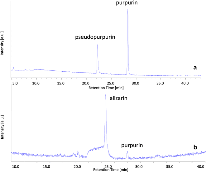 is the purpurin extract from the The recently validated pharmacokinetic method showed that a purpurin-containing plant extract administered orally to rats is slowly absorbed and metabolized in the plasma, . is the purpurin extract from the The recently validated pharmacokinetic method showed that a purpurin-containing plant extract administered orally to rats is slowly absorbed and metabolized in the plasma, .
