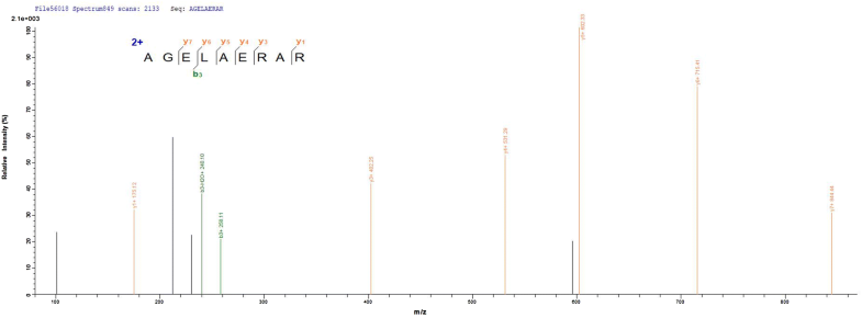 LC-ESI-MS\/MS analysis based on Orbitrap