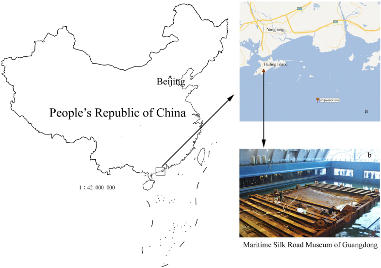 Microbial erosion assessment on waterlogged archaeological woods (WAWs