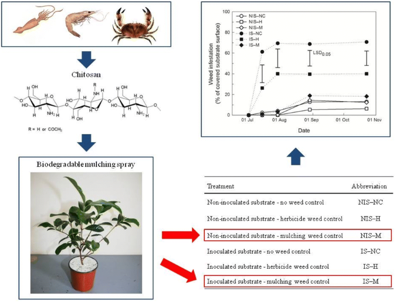 Experimental Biodegradable Traffic >> Biodegradable Mulching Spray For Weed Control In The Cultivation Of Experimental Biodegradable Traffic >> Biodegradable Mulching Spray For Weed Control In The Cultivation Of