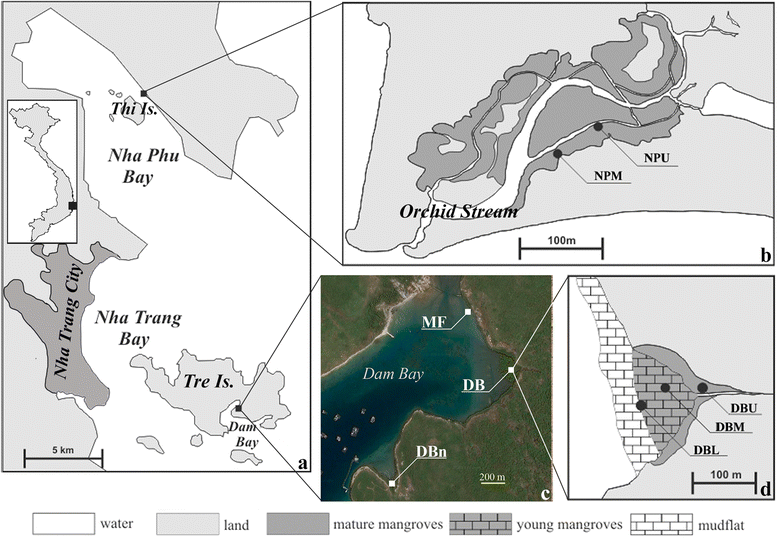 molluscan assemblage on the intertidal zones of butuan bay The wooramel bank contains a variety of marine habitats including wide sublittoral and intertidal sandflats inhabited by molluscan communities, extensive mangrove or algal mat communities in the intertidal and supratidal zones and channel levees and floors populated by seagrass communities. molluscan assemblage on the intertidal zones of butuan bay The wooramel bank contains a variety of marine habitats including wide sublittoral and intertidal sandflats inhabited by molluscan communities, extensive mangrove or algal mat communities in the intertidal and supratidal zones and channel levees and floors populated by seagrass communities.