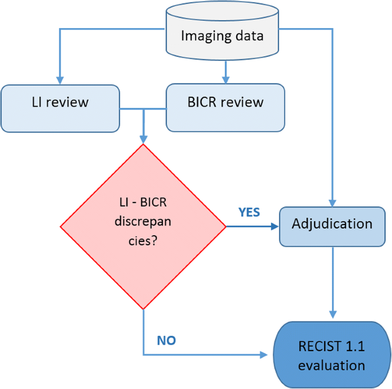 Discrepancies of assessments in a RECIST 1.1 phase II clinical trial