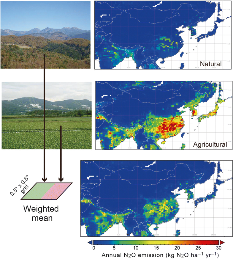 Emissions of nitrous oxide (N2O) from soil surfaces and their