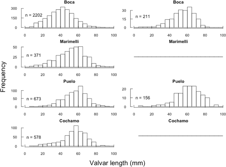 Spatial distribution pattern of Mytilus chilensis beds in Spatial distribution pattern of Mytilus chilensis beds in