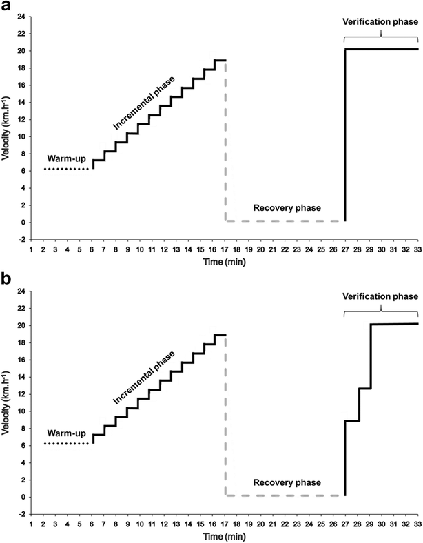 The Maximal Oxygen Uptake Verification Phase A Light At The End