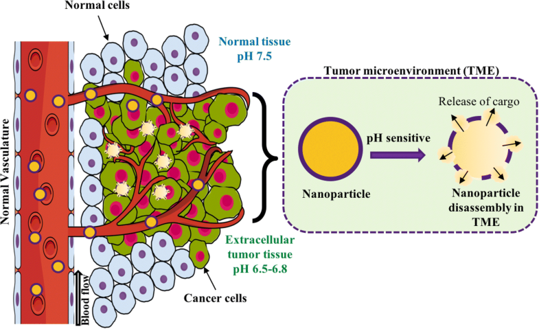 Tumor microenvironment-responsive nanoparticles for cancer ... block diagram nitric acid 
