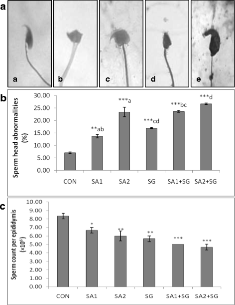Open image in new window ... Arsenic and smokeless tobacco induce genotoxicity, sperm abnormality ...