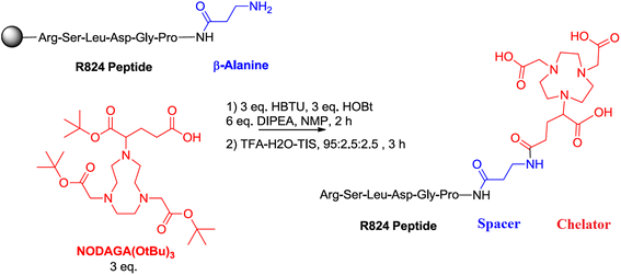Synthesis Gallium Labelling And Characterization Of P04087