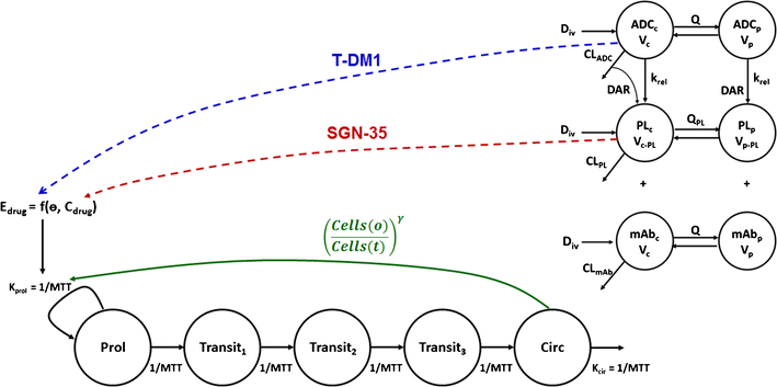 A Mechanism-Based PK/PD Model for Hematological Toxicities Induced by ...